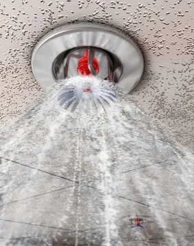 Instalação de sprinklers em Salvador